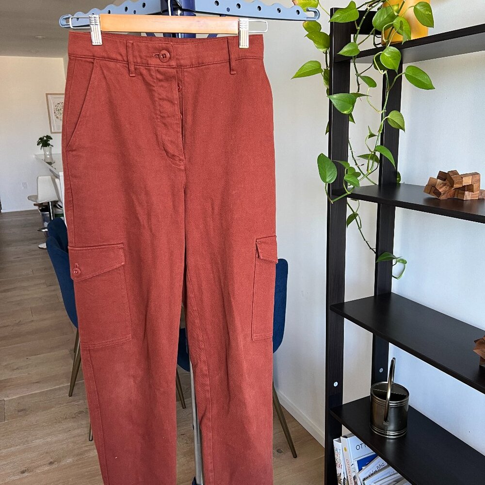 Aritzia Wilfred Free Copper Cargo Pants (Size 4)